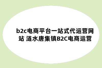 b2c电商平台一站式代运营网站 涟水唐集镇B2C电商运营